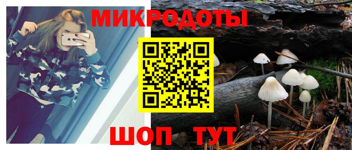 Черногорск  Галлюциногенные грибы ЛСД  Вход с VPN  Псилоцибиновые грибы мухоморы 
