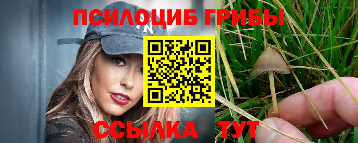 Галлюциногенные грибы Magic Shrooms Черногорск